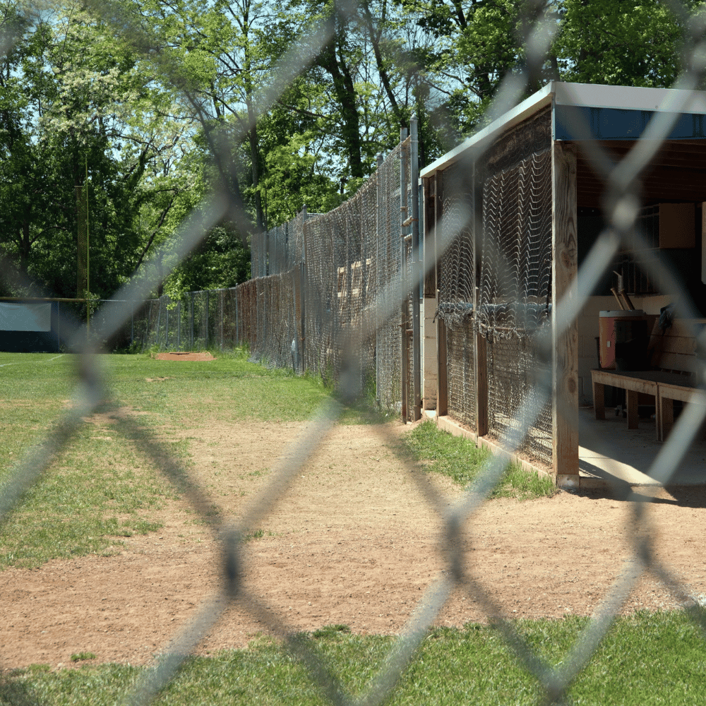Chain Link Fences4