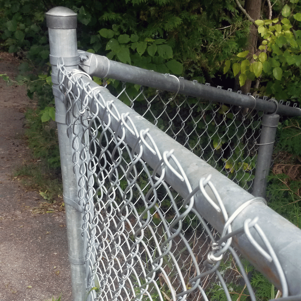 Chain Link Fences2