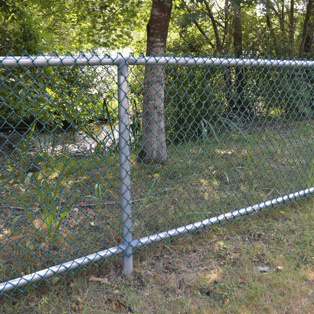 Chain Link Fences1
